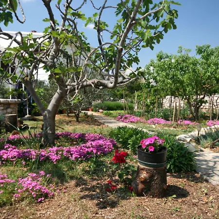 Mit Meerblick Nur 250 Meter Zum Apartamento *