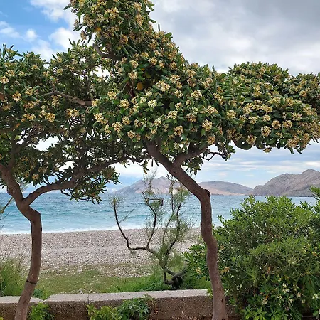 Apartment Mit Meerblick Nur 250 Meter Zum Baska (Krk)
