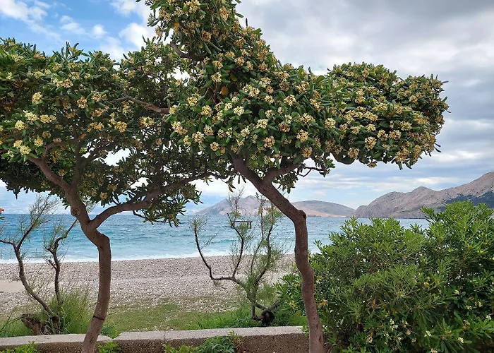 Appartamento Mit Meerblick Nur 250 Meter Zum Baška